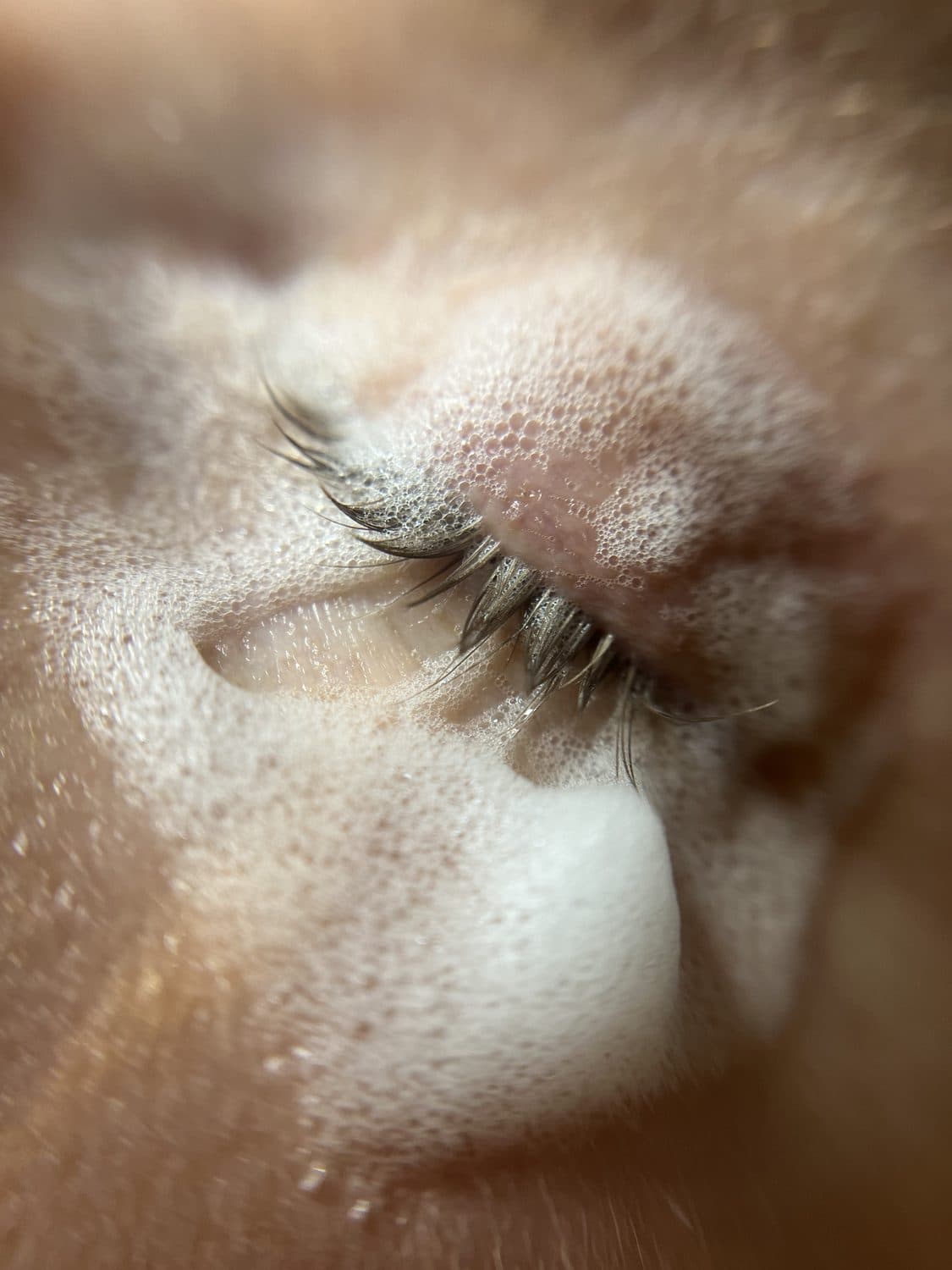 Vippeextensions med naturlig resultat i Beauty Concept, Drammen